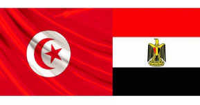 « Cargo X »   لقاء إفتراضي مشترك تونسي مصري  حول المنصتين المصريتين « نافذة » و